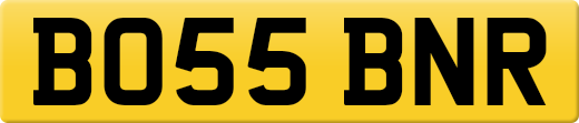 BO55BNR