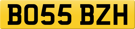 BO55BZH