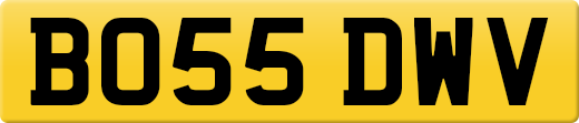 BO55DWV