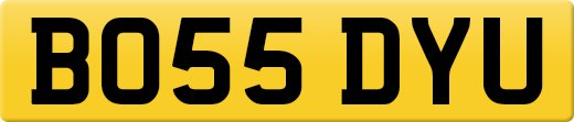BO55DYU