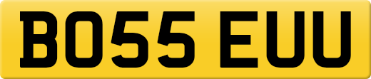 BO55EUU