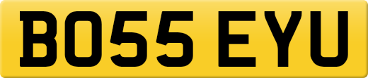 BO55EYU