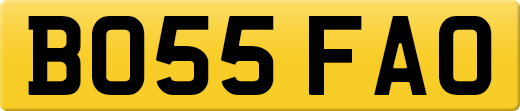 BO55FAO