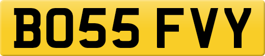 BO55FVY