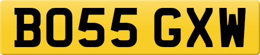 BO55GXW