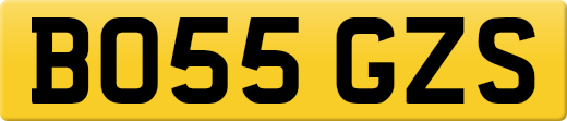 BO55GZS