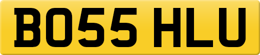 BO55HLU