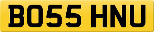BO55HNU