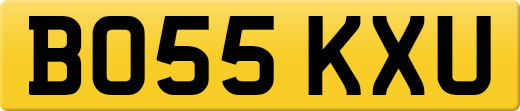 BO55KXU