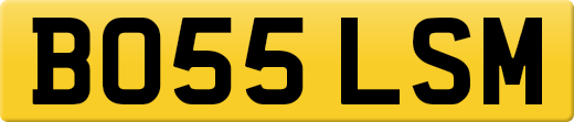 BO55LSM