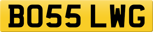 BO55LWG