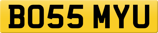 BO55MYU