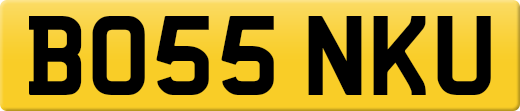 BO55NKU