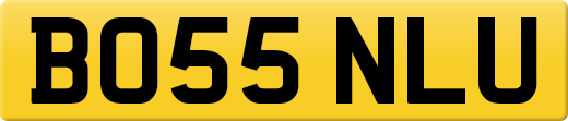 BO55NLU