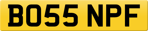 BO55NPF