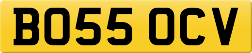 BO55OCV