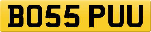 BO55PUU