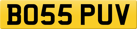BO55PUV