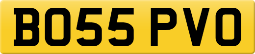 BO55PVO