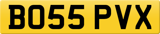 BO55PVX