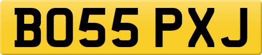 BO55PXJ