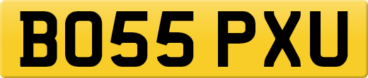 BO55PXU