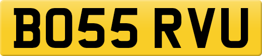 BO55RVU