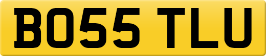 BO55TLU