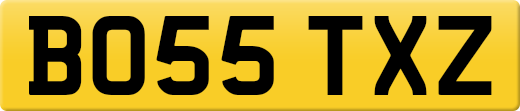 BO55TXZ