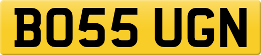 BO55UGN