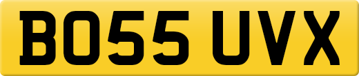 BO55UVX
