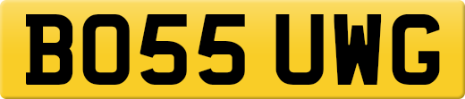 BO55UWG