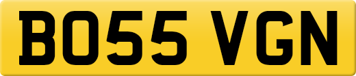 BO55VGN