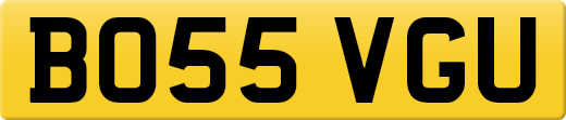BO55VGU