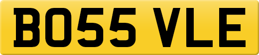 BO55VLE