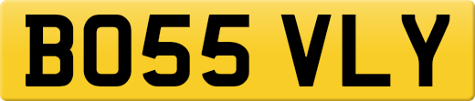 BO55VLY