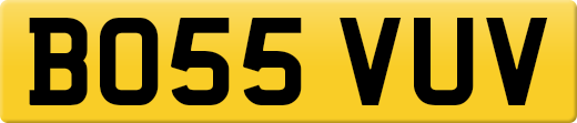 BO55VUV