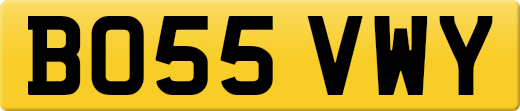 BO55VWY