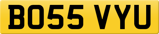 BO55VYU