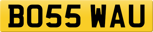 BO55WAU