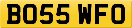 BO55WFO