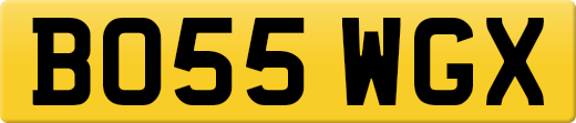 BO55WGX