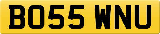 BO55WNU