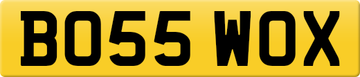 BO55WOX