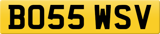 BO55WSV