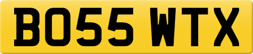 BO55WTX