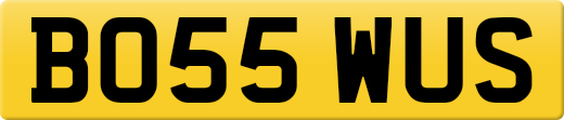 BO55WUS