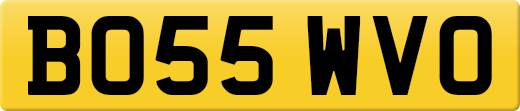 BO55WVO