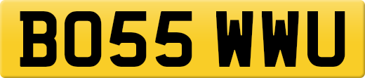 BO55WWU