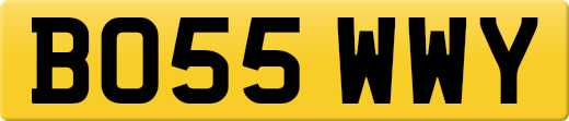 BO55WWY